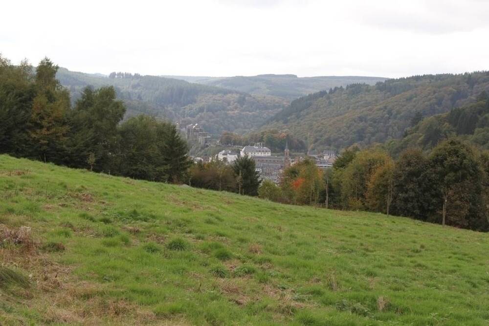 Terrain à vendre à Bouillon 6830 85000.00€ chambres m² - annonce 4537