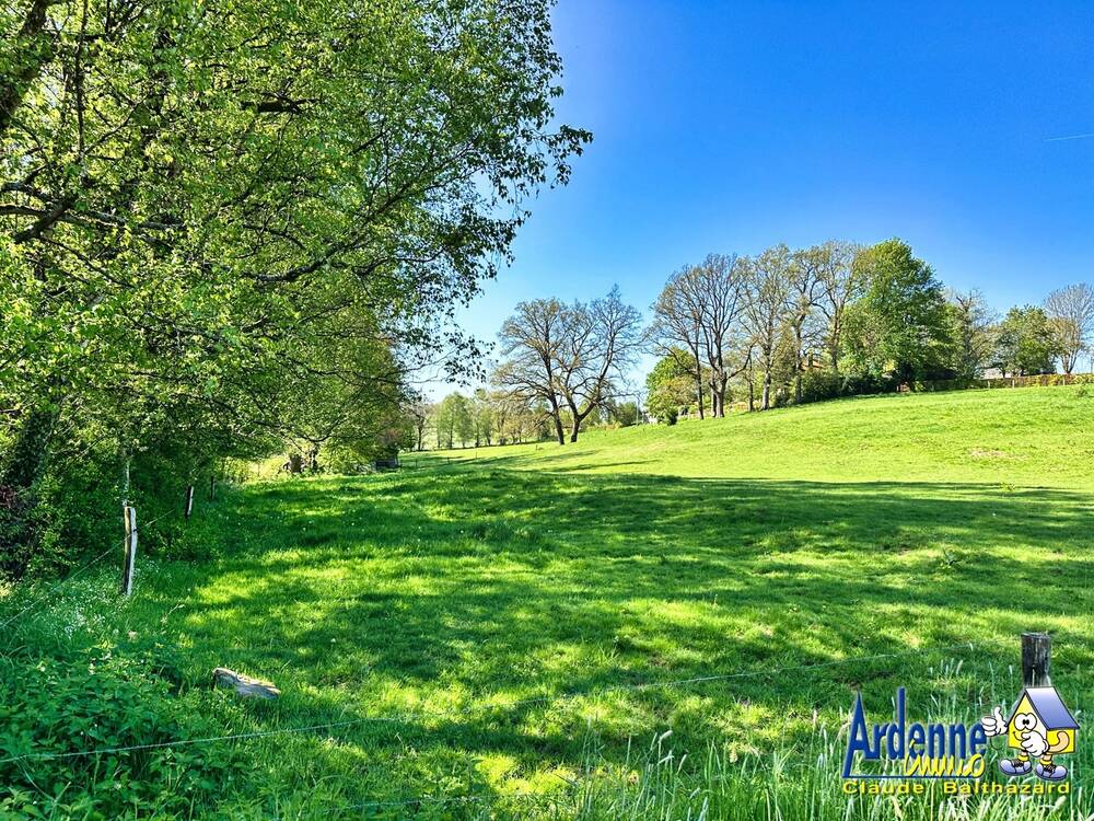 Terrain à vendre à Bovigny 6671 74900.00€ chambres m² - annonce 6079