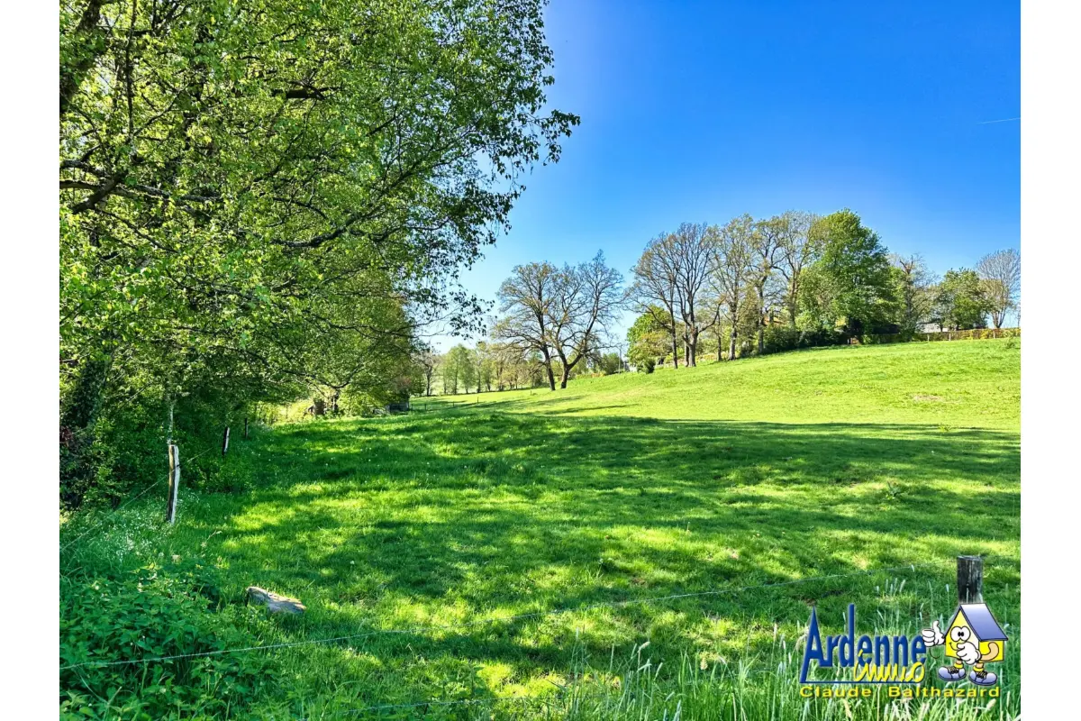 Terrain à vendre à Bovigny 6671 74900.00€  chambres m² - annonce 6079