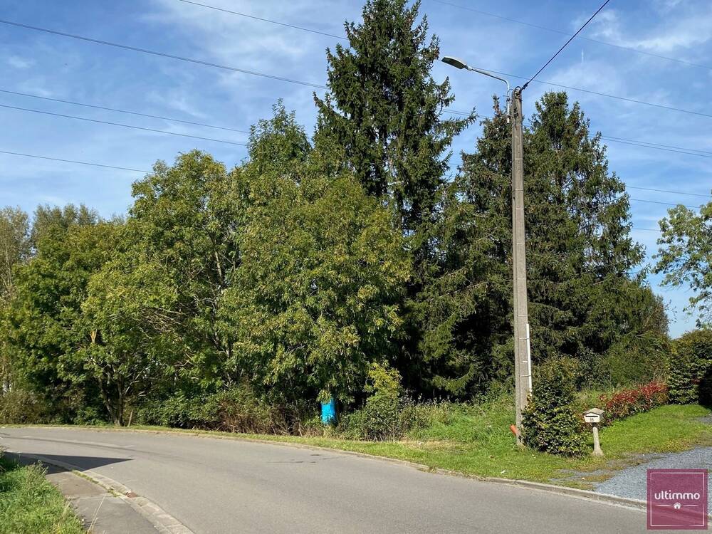 Terrain à vendre à Aubange 6790 99000.00€ chambres m² - annonce 16918