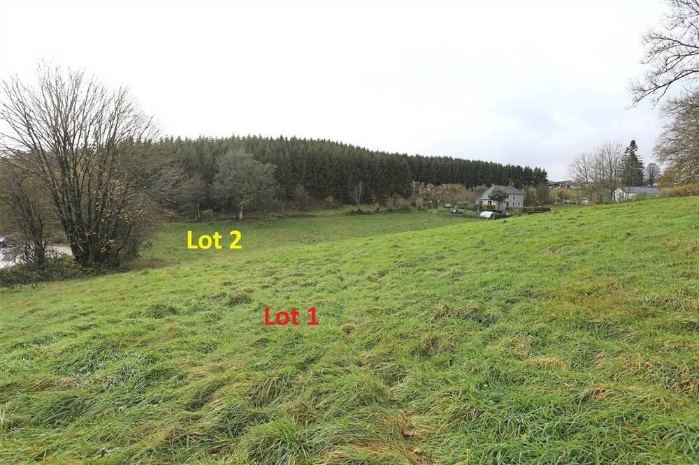 Terrain à vendre à Noirefontaine 6831 50000.00€ chambres m² - annonce 20301