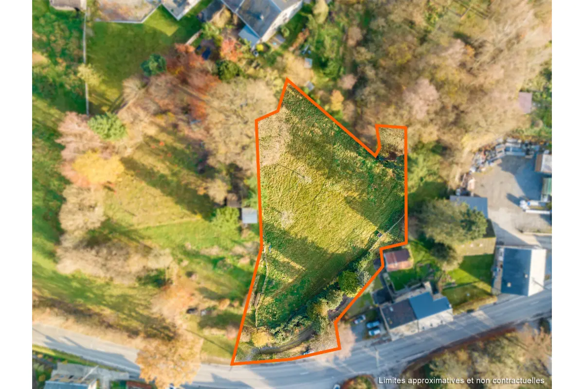 Terrain à vendre à Vielsalm 6690 95000.00€  chambres m² - annonce 23545