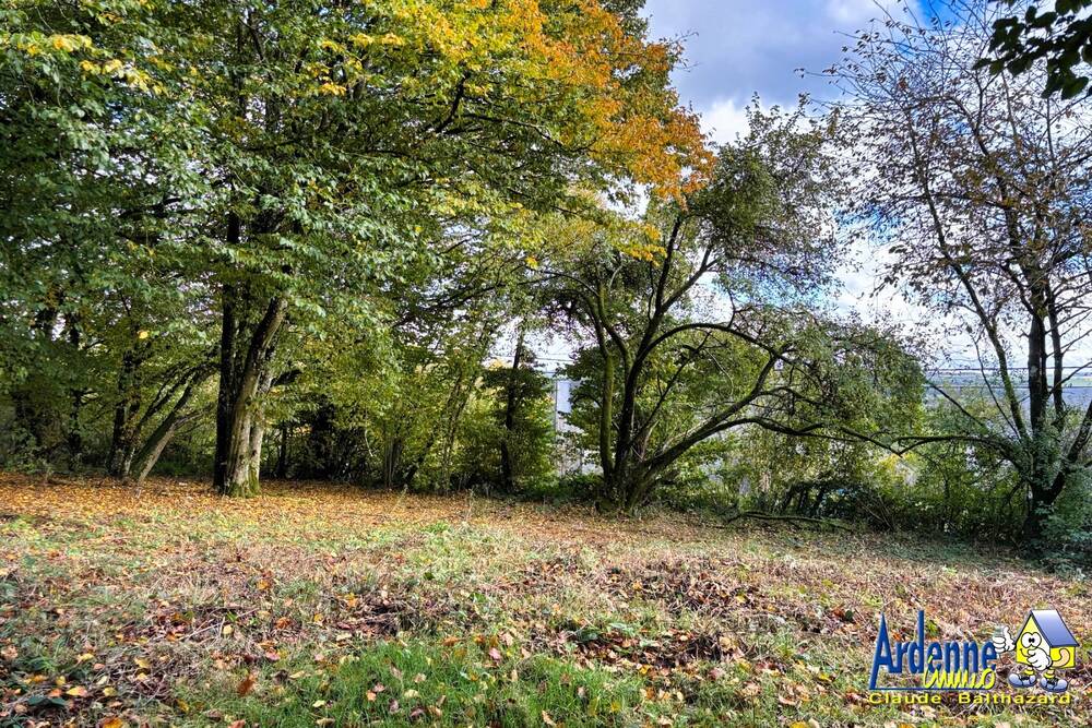 Terrain à vendre à Mabompré 6663 54000.00€ chambres m² - annonce 34156