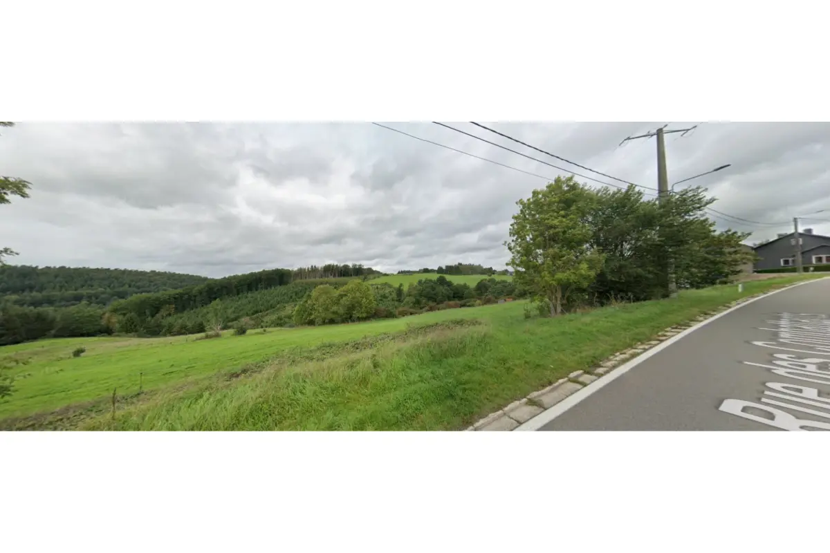 Terrain à bâtir à vendre à Erezée 6997 134000.00€  chambres m² - annonce 51435