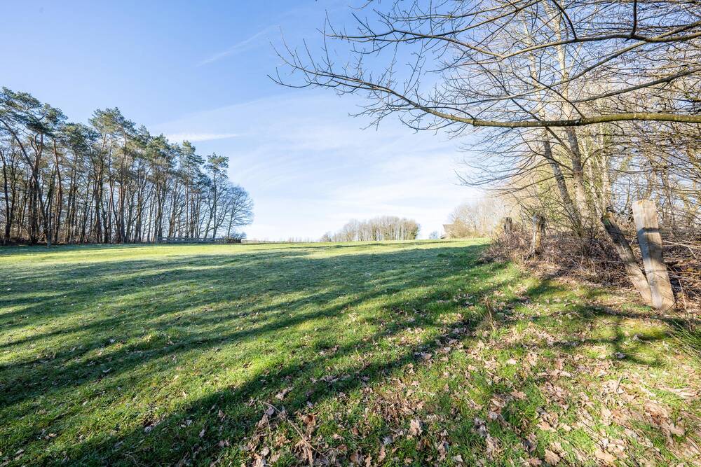 Terrain à vendre à Paliseul 6850 199000.00€ chambres m² - annonce 66093
