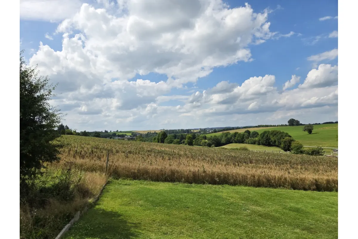 Terrain à bâtir à vendre à Grapfontaine 6840 160000.00€  chambres m² - annonce 70944