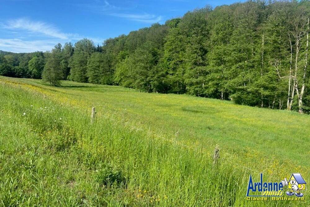 Terrain à vendre à Rendeux 6987 110000.00€ chambres m² - annonce 456940