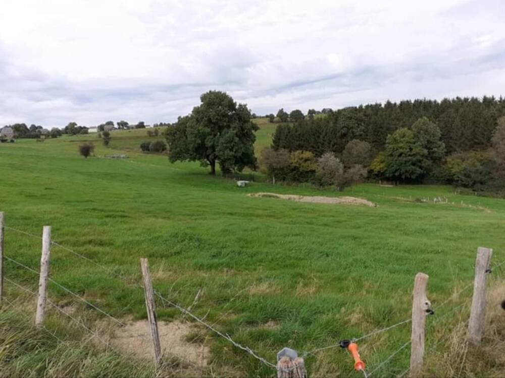 Terrain à vendre à Fauvillers 6637 82000.00€ chambres m² - annonce 102001