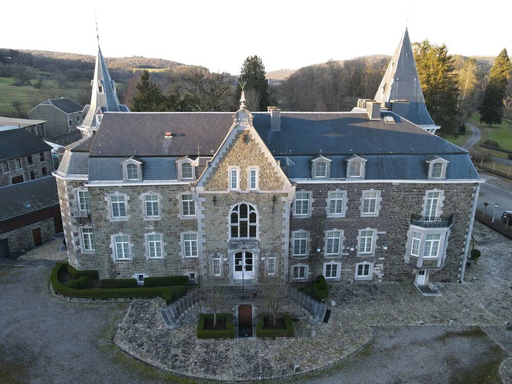 Maison à vendre à Rendeux 6987 2500000.00€ 17 chambres m² - annonce 163992