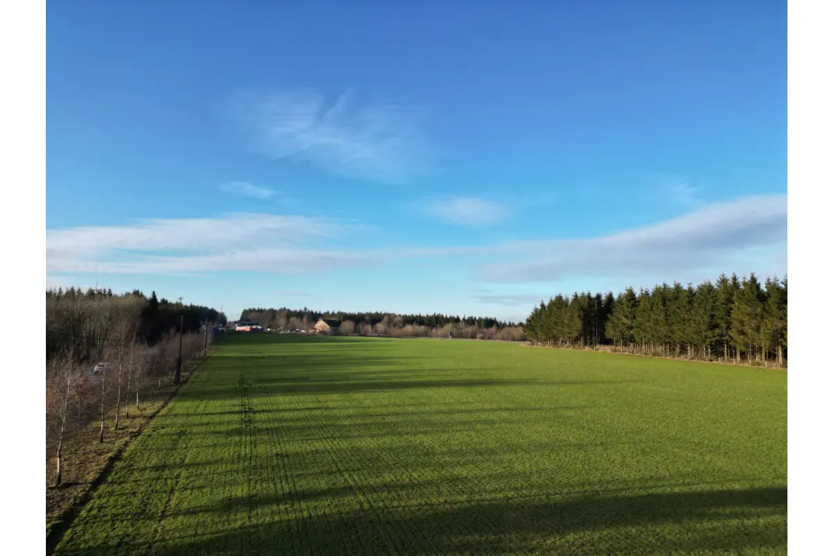 Terrain à bâtir à vendre à Vielsalm 6690 420000.00€  chambres m² - annonce 239099