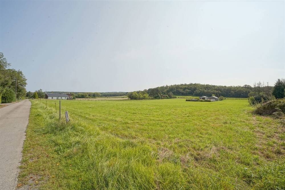 Terrain à vendre à Erezée 6997 99500.00€ chambres m² - annonce 242068