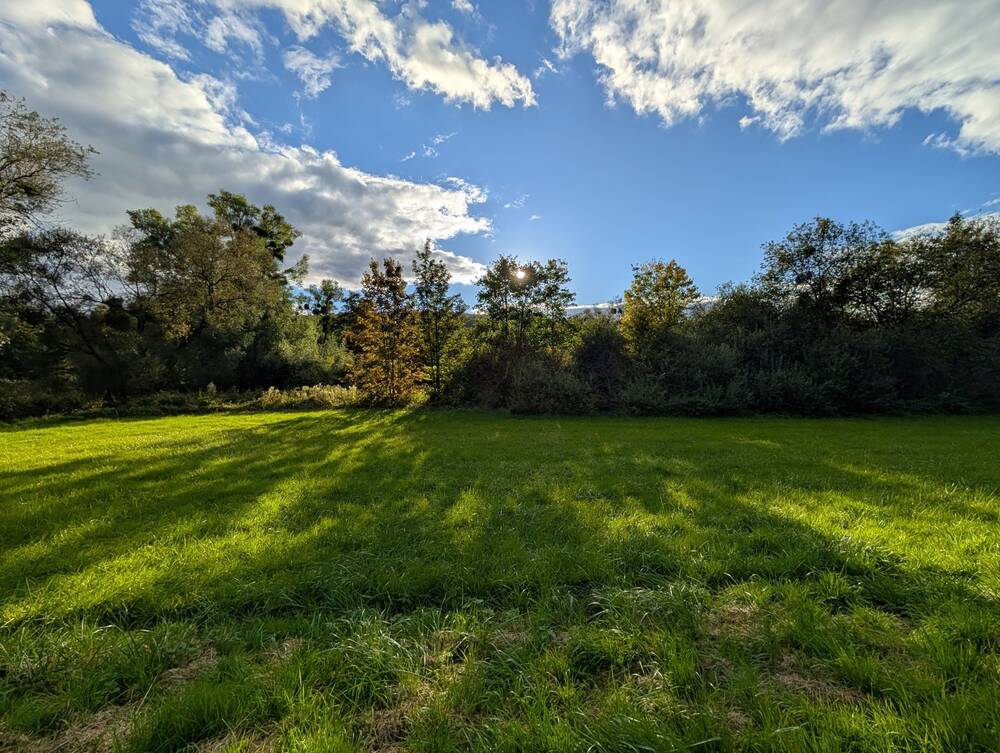 Terrain à vendre à Ruette 6760 199000.00€ chambres m² - annonce 258937