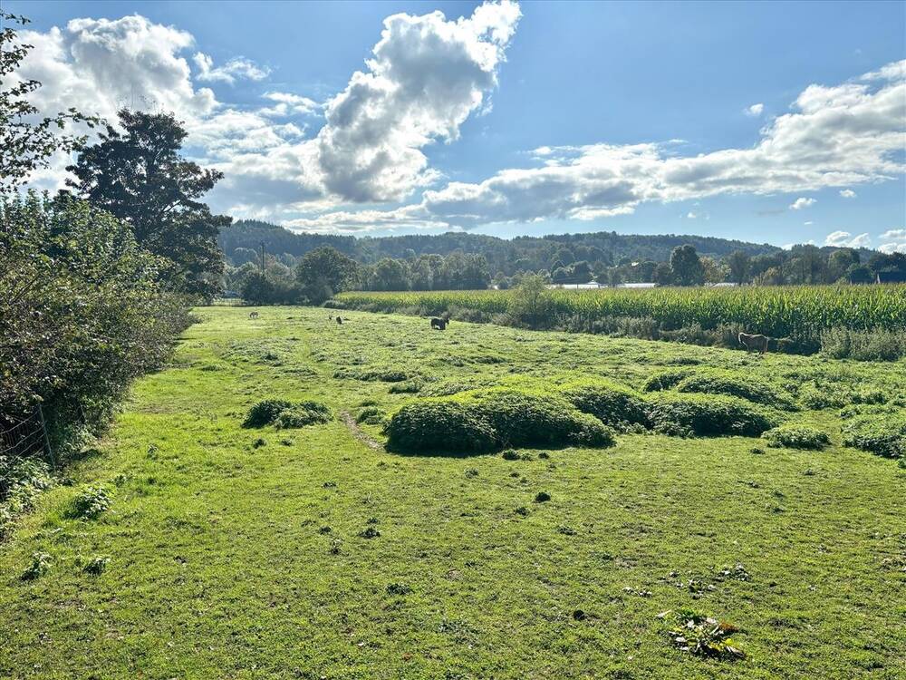 Terrain à vendre à Barvaux-sur-Ourthe 6940 110000.00€ chambres m² - annonce 399075