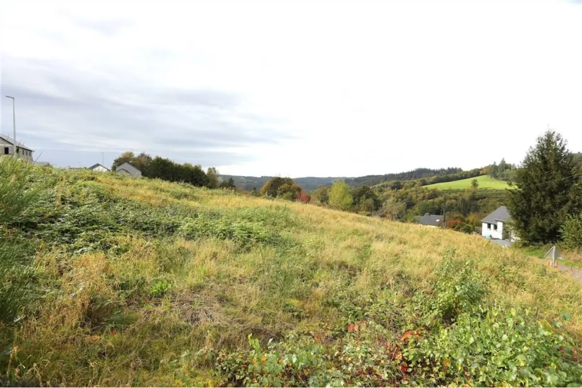 Terrain à vendre à Bouillon 6830 75000.00€  chambres m² - annonce 273135