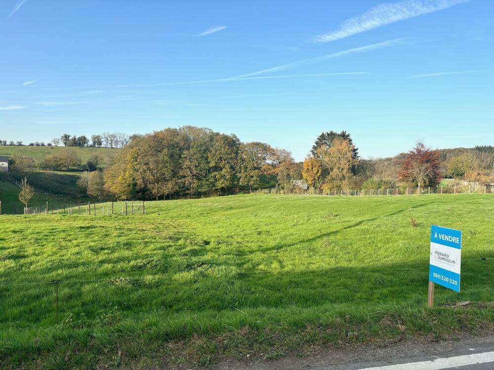 Terrain à vendre à Hotton 6990 100000.00€ chambres m² - annonce 471209