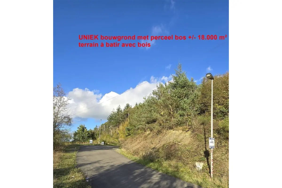 Terrain à vendre à Barvaux-sur-Ourthe 6940 129000.00€  chambres m² - annonce 303318