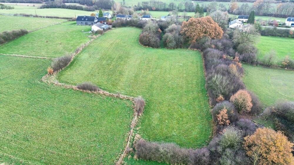 Terrain à bâtir à vendre à Florenville 6820 150000.00€ 0 chambres m² - annonce 321434