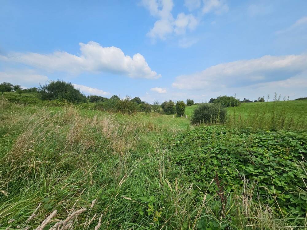 Terrain à vendre à Musson 6750 130000.00€ chambres m² - annonce 337432