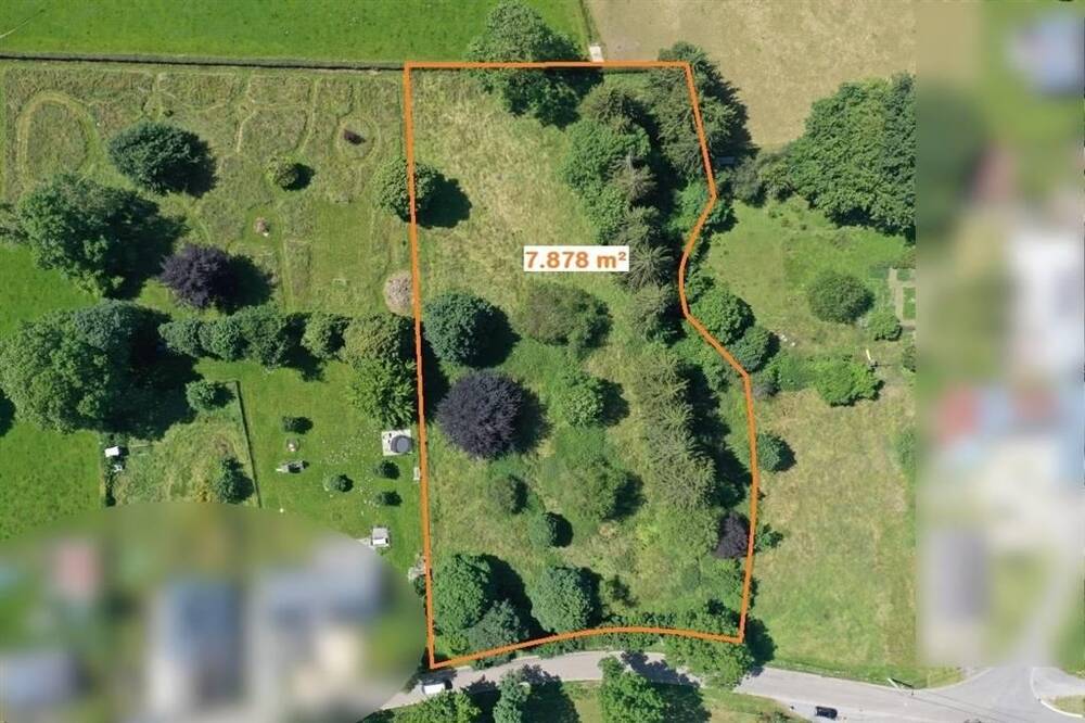 Terrain à vendre à Libramont-Chevigny 6800 195000.00€ chambres m² - annonce 364320