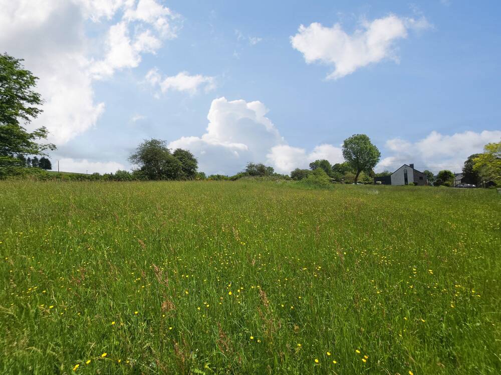 Terrain à vendre à Tenneville 6970 49000.00€ chambres m² - annonce 365389