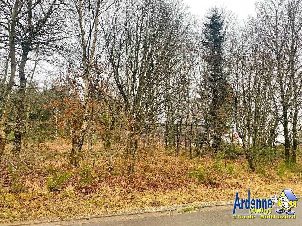 Terrain à vendre à Wibrin 6666 35000.00€ chambres m² - annonce 372193