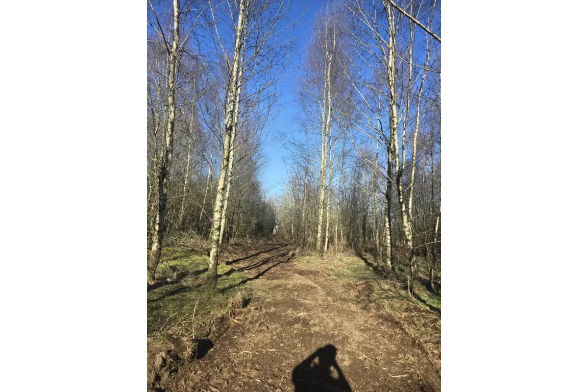 Terrain à vendre à Bastogne 6600 52500.00€  chambres m² - annonce 371811