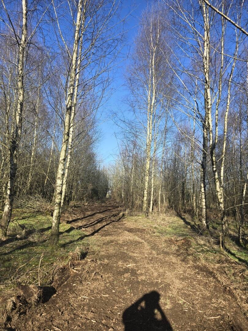 Terrain à vendre à Bastogne 6600 52500.00€ chambres m² - annonce 371811