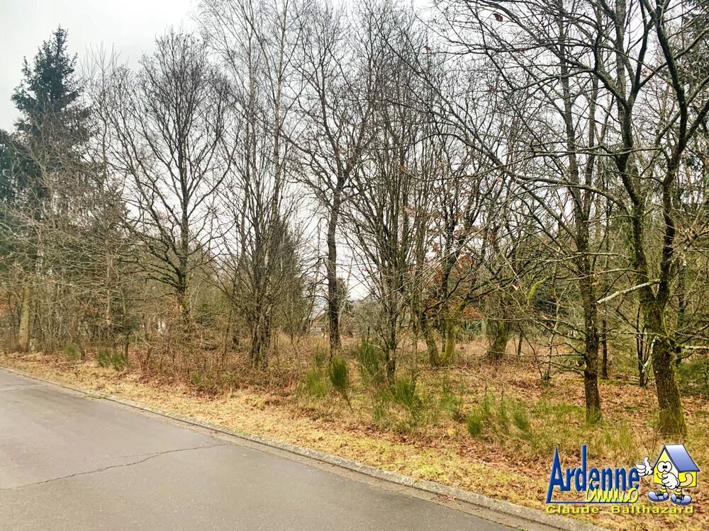 Terrain à vendre à Wibrin 6666 35000.00€ chambres m² - annonce 372194
