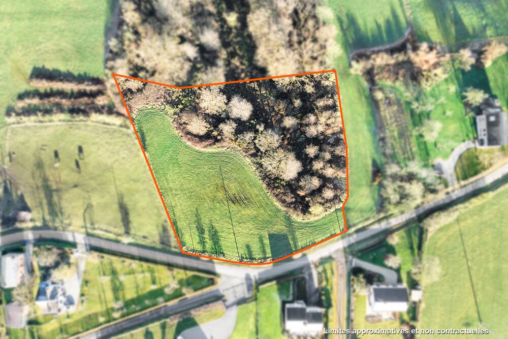 Terrain à vendre à Durbuy 6940 210000.00€ chambres m² - annonce 389836