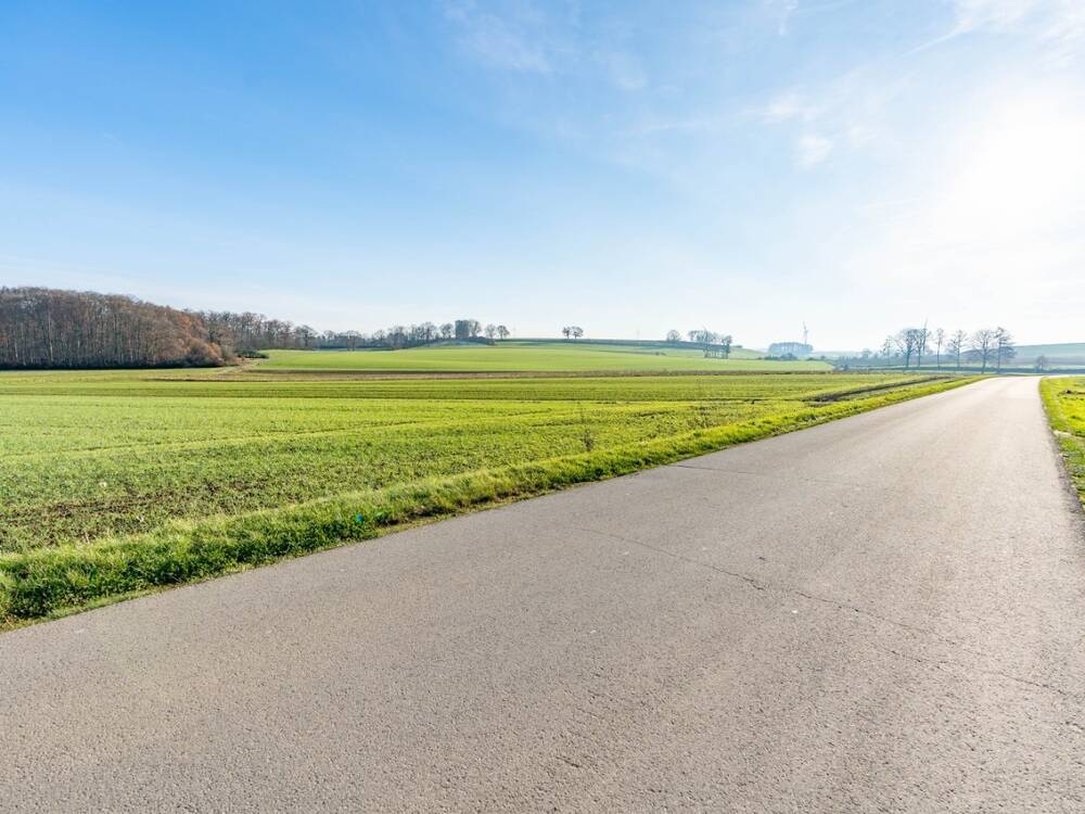 Terrain à bâtir à vendre à Arlon 6700 290000.00€ chambres m² - annonce 400189