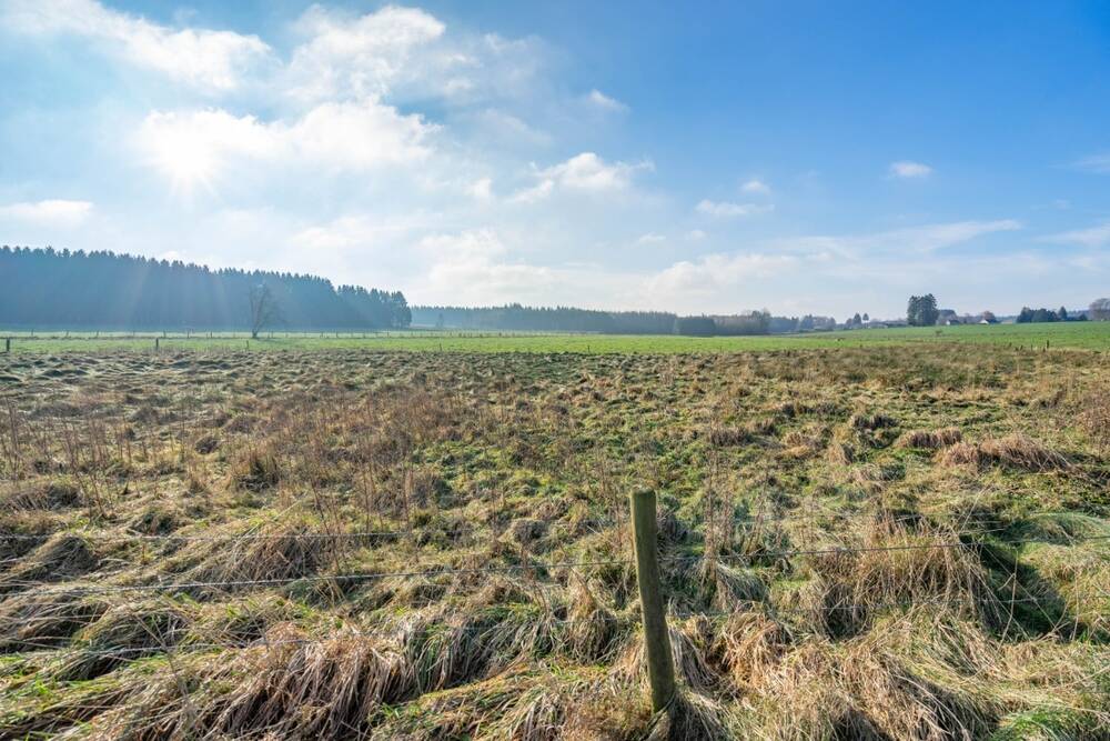 Terrain à vendre à Paliseul 6850 75000.00€ chambres m² - annonce 404038