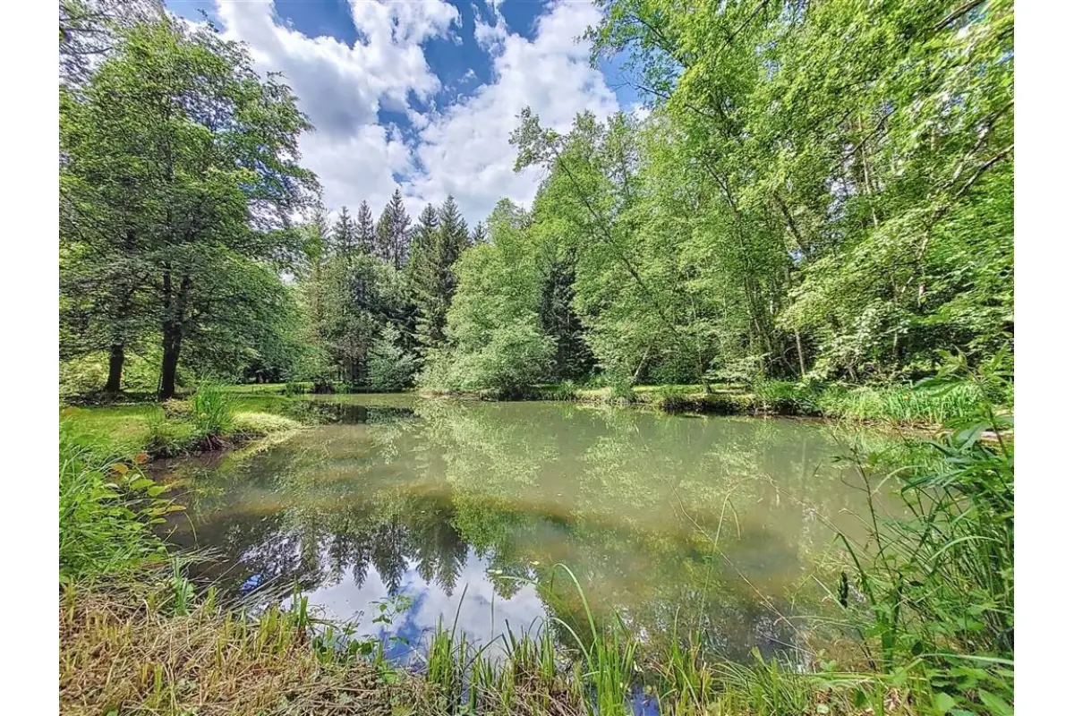 Terrain à vendre à Mussy-la-Ville 6750 160000.00€  chambres m² - annonce 417525