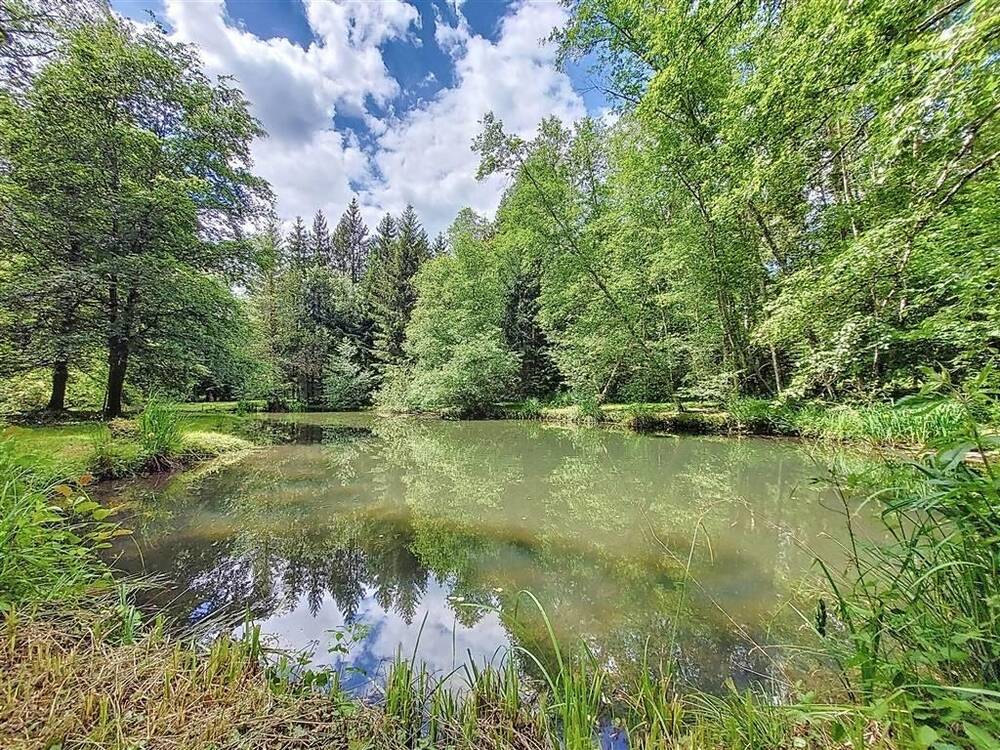 Terrain à vendre à Mussy-la-Ville 6750 160000.00€ chambres m² - annonce 417525