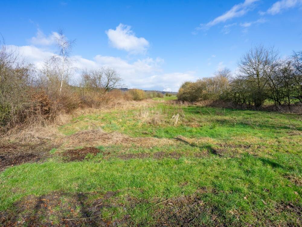 Terrain à vendre à Durbuy 6940 120000.00€ chambres m² - annonce 423225