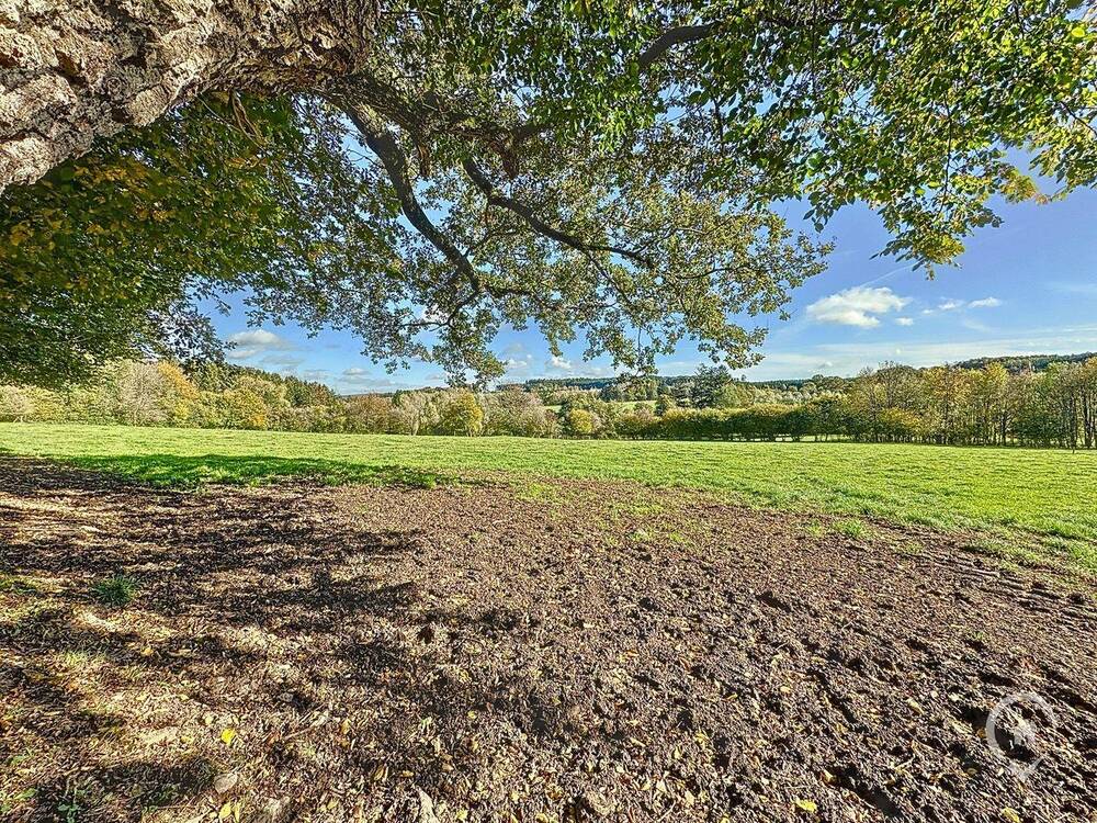 Terrain à vendre à Marche-en-Famenne 6900 268500.00€ chambres m² - annonce 434832