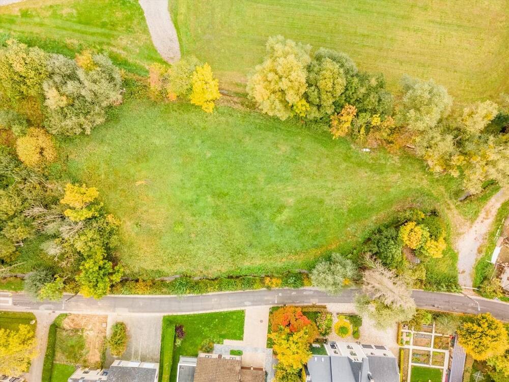 Terrain à vendre à Autelbas 6706 300000.00€ chambres m² - annonce 444886