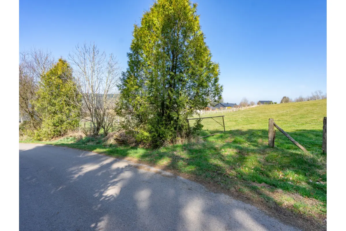 Terrain à bâtir à vendre à Manhay 6960 119000.00€  chambres m² - annonce 451401