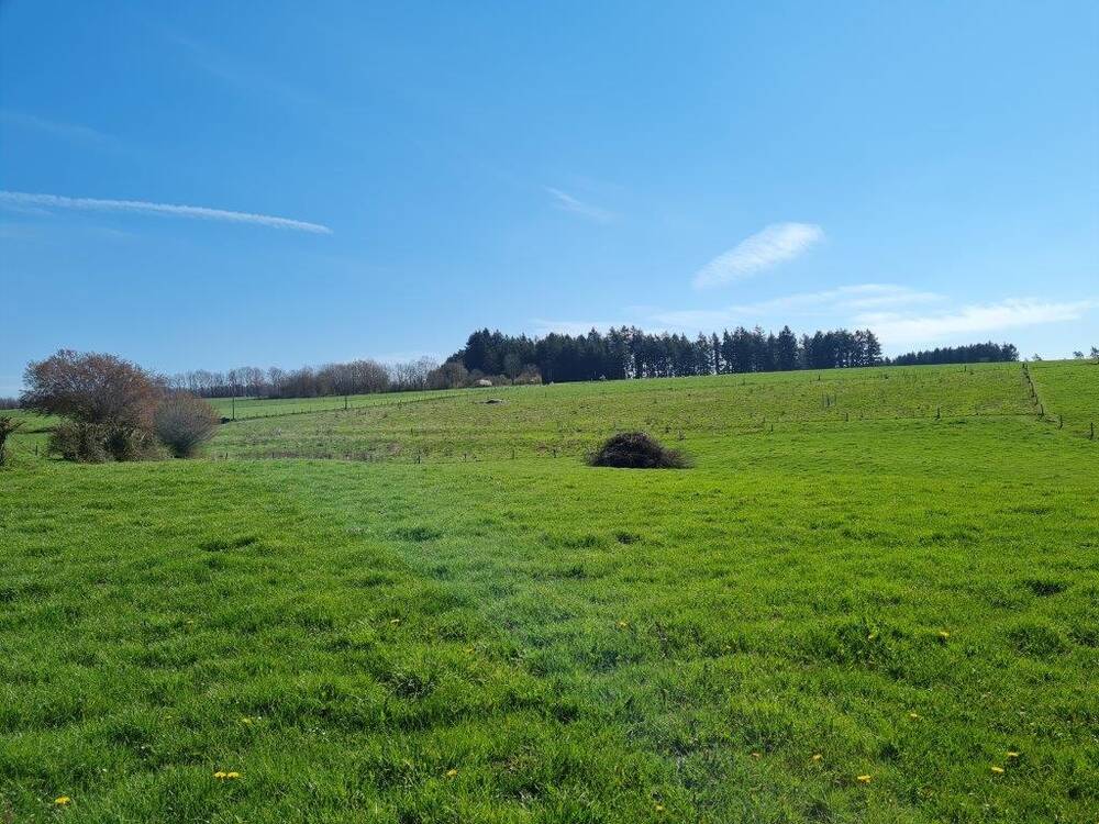 Terrain à vendre à La Roche-en-Ardenne 6980 110000.00€ chambres m² - annonce 451788