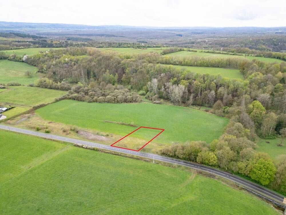 Terrain à vendre à Hotton 6990 63000.00€ chambres m² - annonce 464408