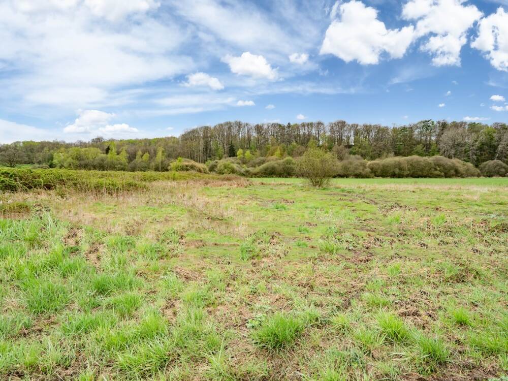 Terrain à vendre à Hotton 6990 63000.00€ chambres m² - annonce 464406