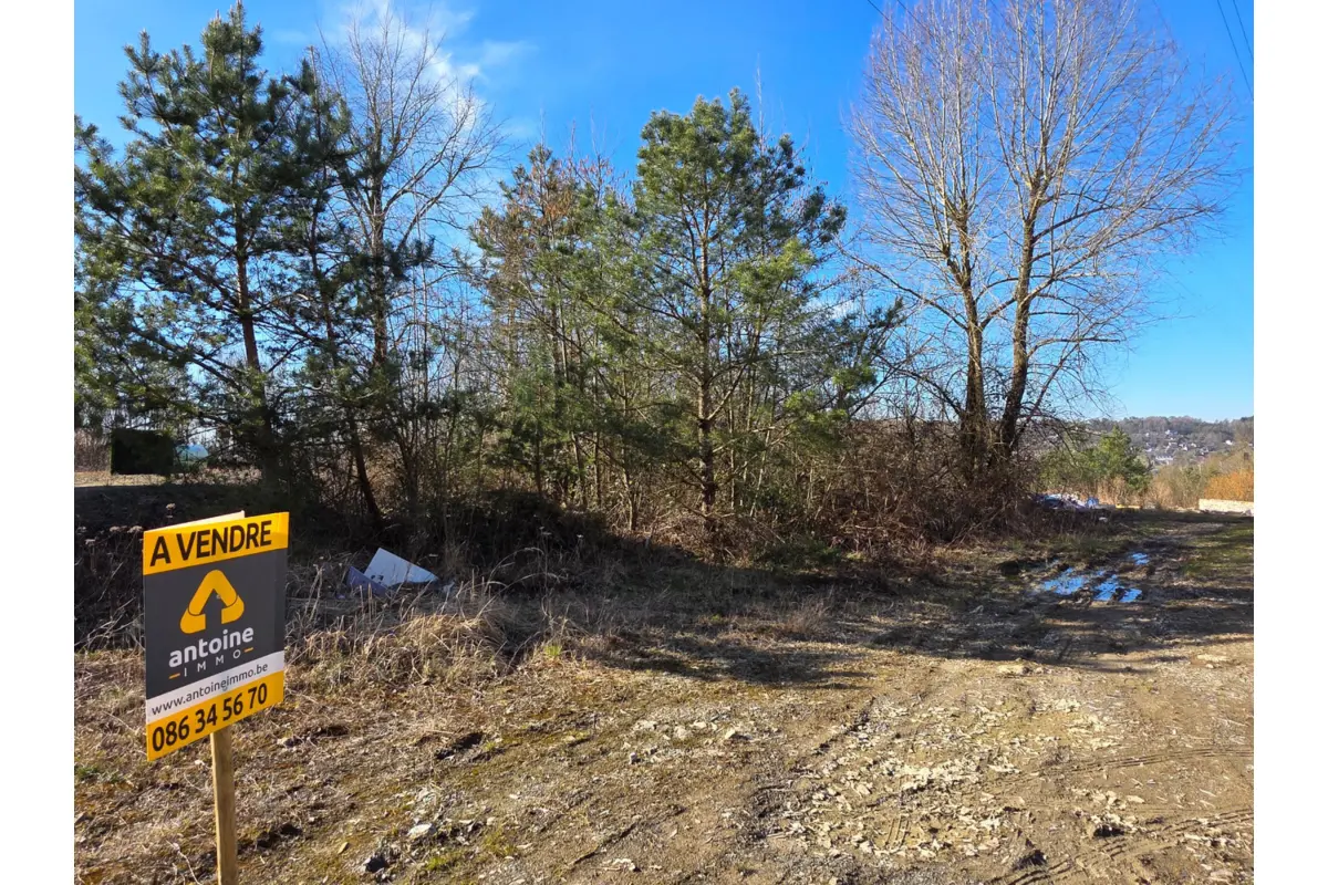 Terrain à vendre à Barvaux-sur-Ourthe 6940 85000.00€  chambres m² - annonce 464898