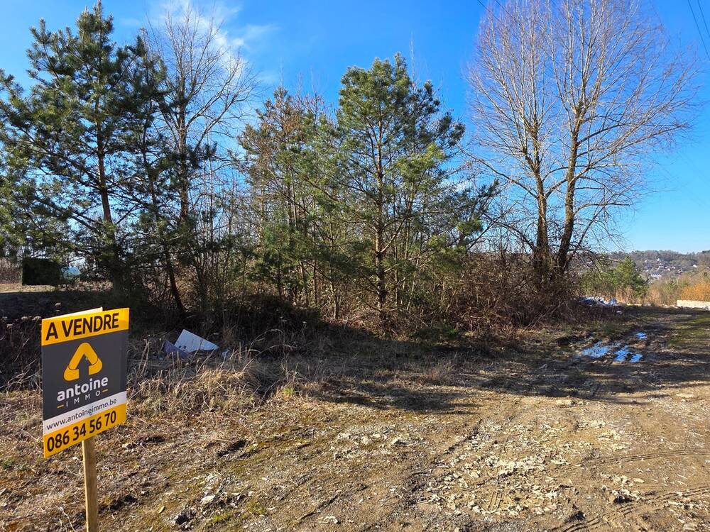 Terrain à vendre à Barvaux-sur-Ourthe 6940 85000.00€ chambres m² - annonce 464898