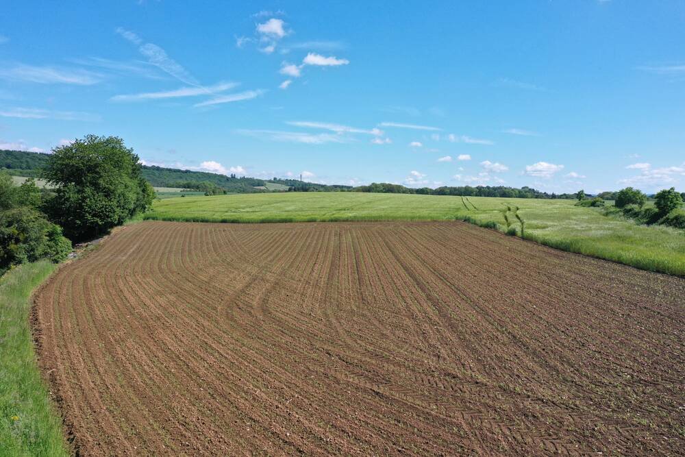 Terrain à vendre à Durbuy 6940 155000.00€ chambres m² - annonce 465202
