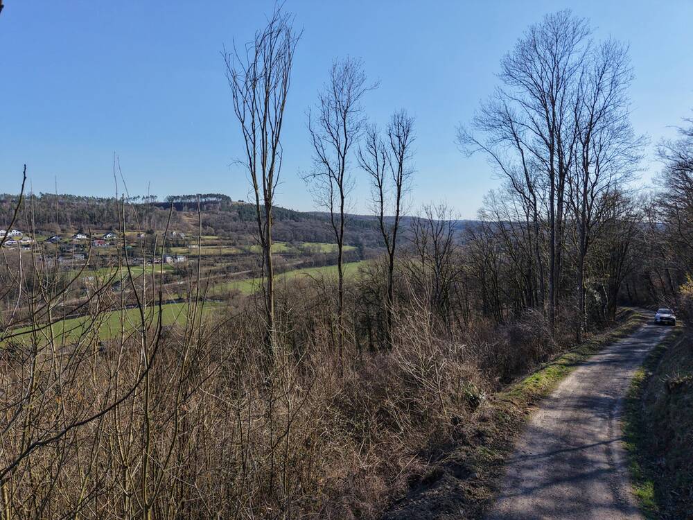 Terrain à vendre à Durbuy 6940 149000.00€ chambres m² - annonce 465350