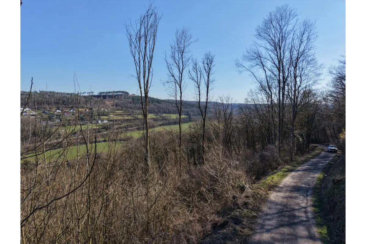 Terrain à vendre à Durbuy 6940 125000.00€  chambres m² - annonce 465350