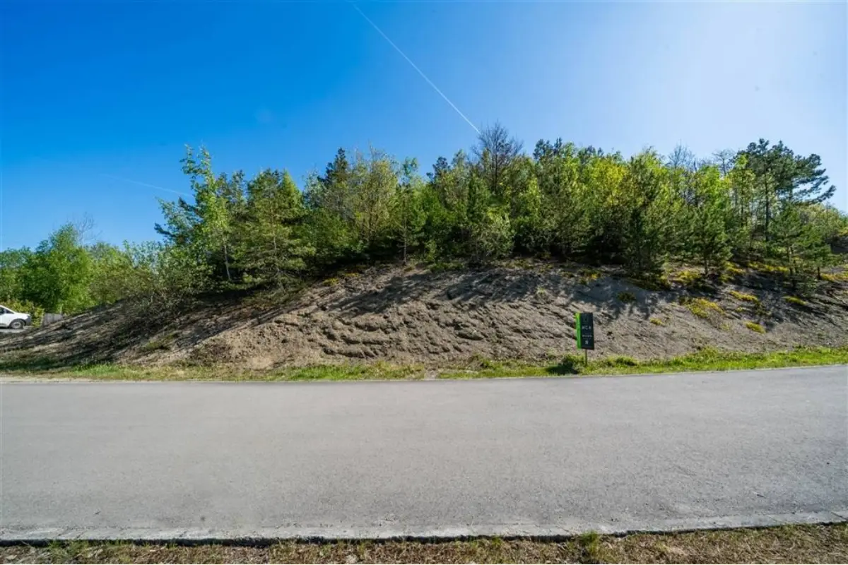 Terrain à vendre à Barvaux-sur-Ourthe 6940 79000.00€  chambres m² - annonce 467743