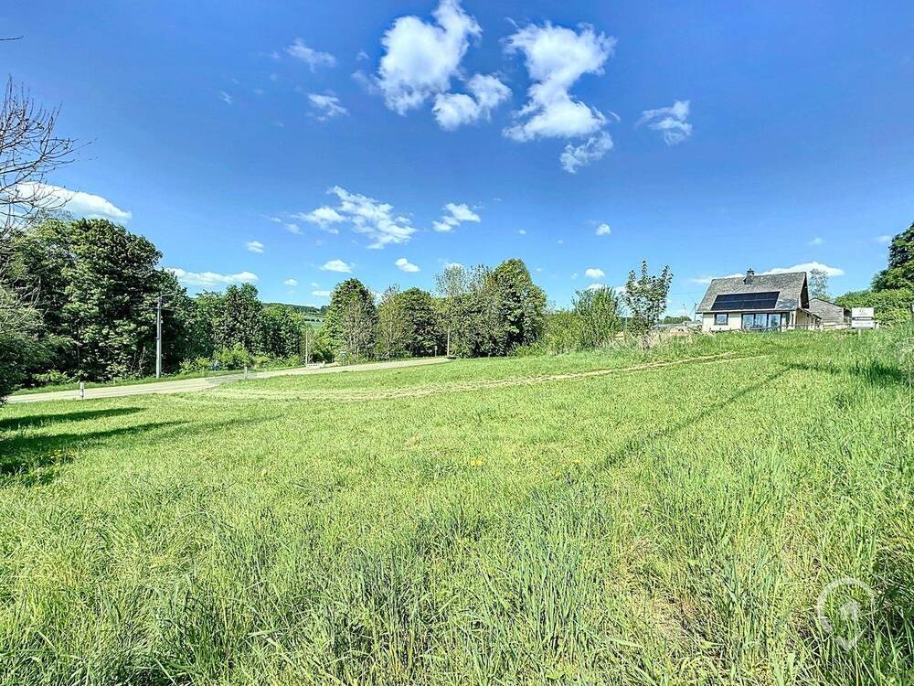Terrain à vendre à Sainte-Ode 6680 75000.00€ chambres m² - annonce 473527