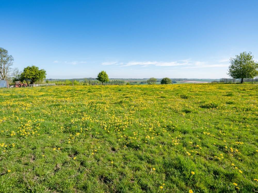 Terrain à vendre à Durbuy 6940 89000.00€ chambres m² - annonce 471795