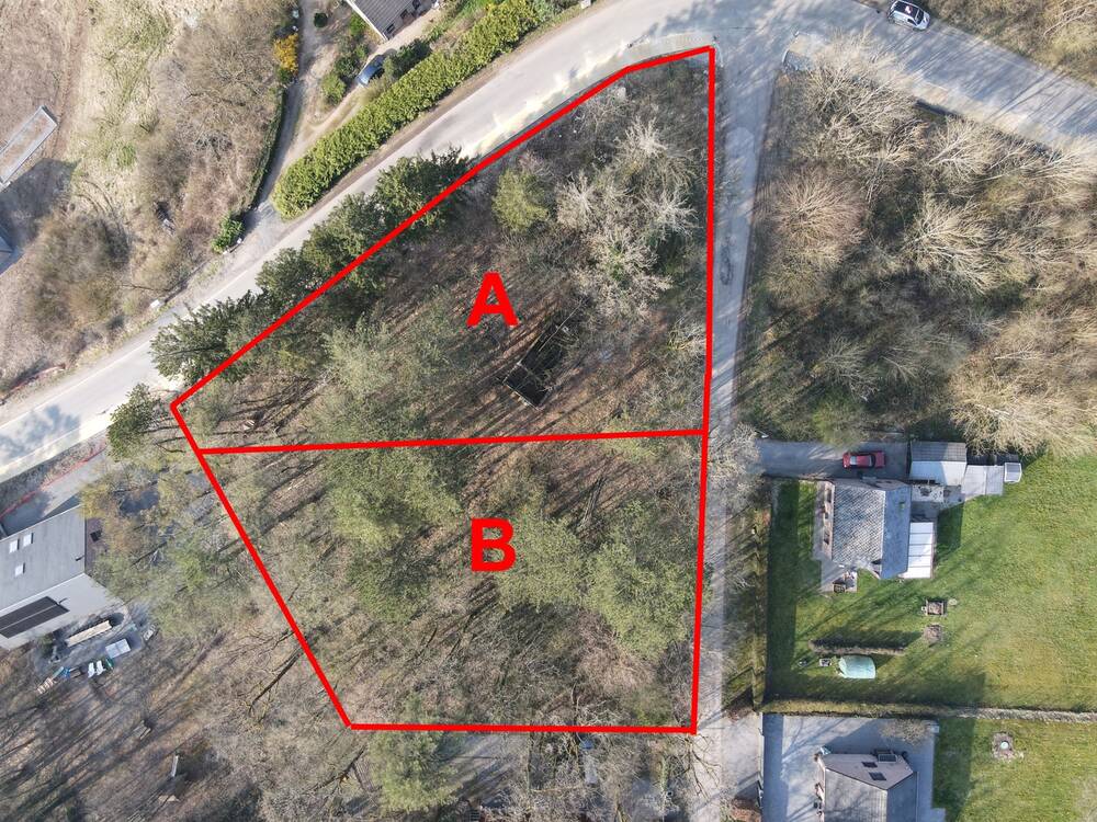 Terrain à vendre à Durbuy 6940 139000.00€ chambres m² - annonce 475043