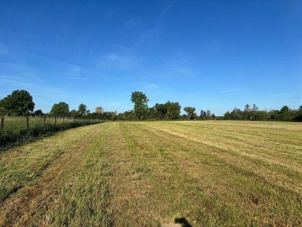 Terrain non bâtissable à vendre à Grandhan 6940 25000.00€ chambres m² - annonce 474653